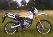 1997 Suzuki DR 350 SE photo